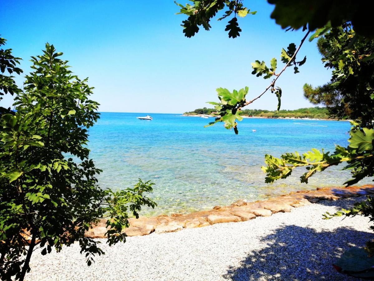 Appartamento 7 Palmi Novigrad Novigrad Istria Esterno foto